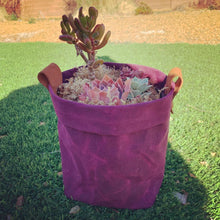 Waxed Canvas "Kiki Pot" Planter Basket in Electric Cranberry