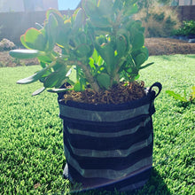 Waxed Canvas "Kiki Pot" Planter Basket in Charcoal Stripes