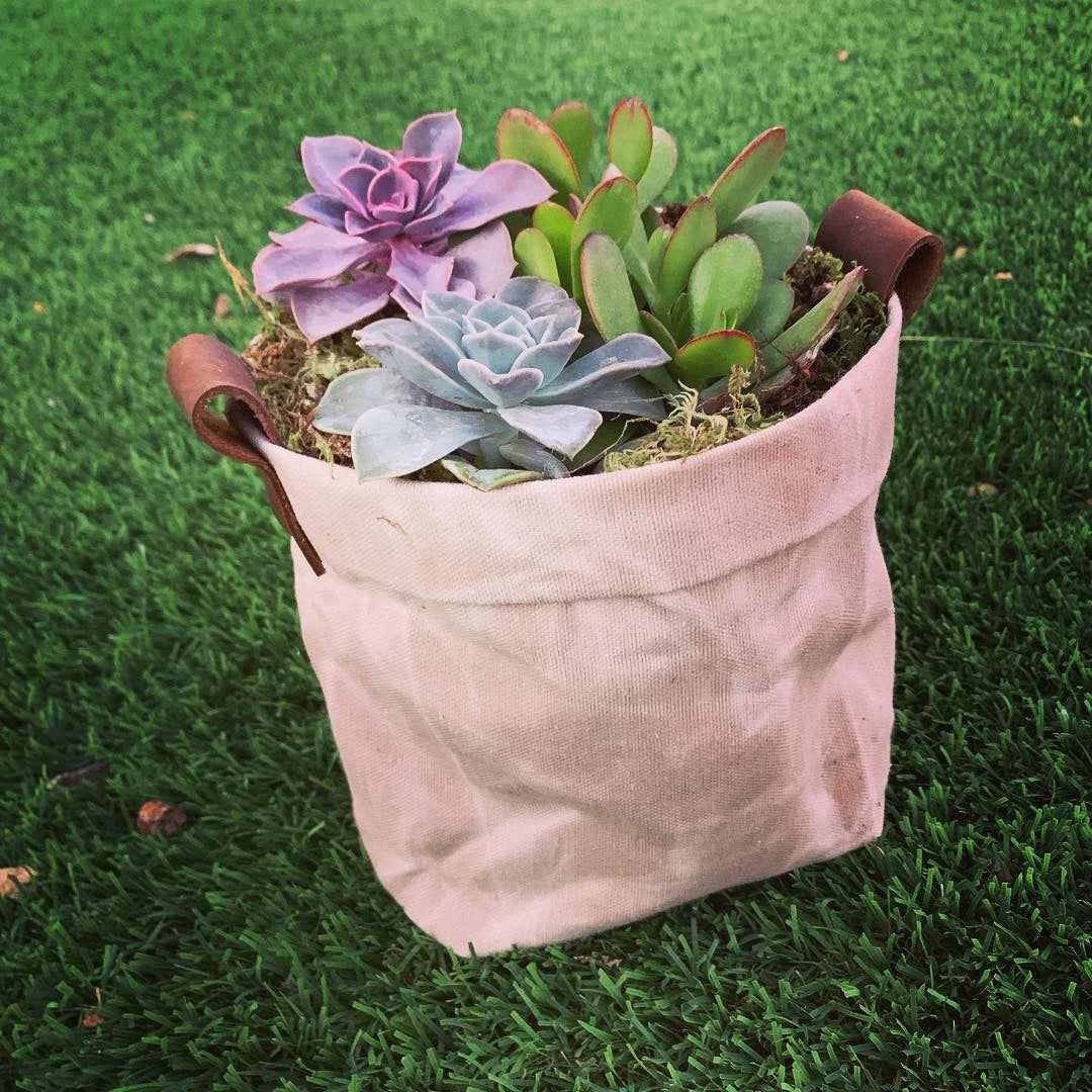 Waxed Canvas "Kiki Pot" Khaki Planter Basket