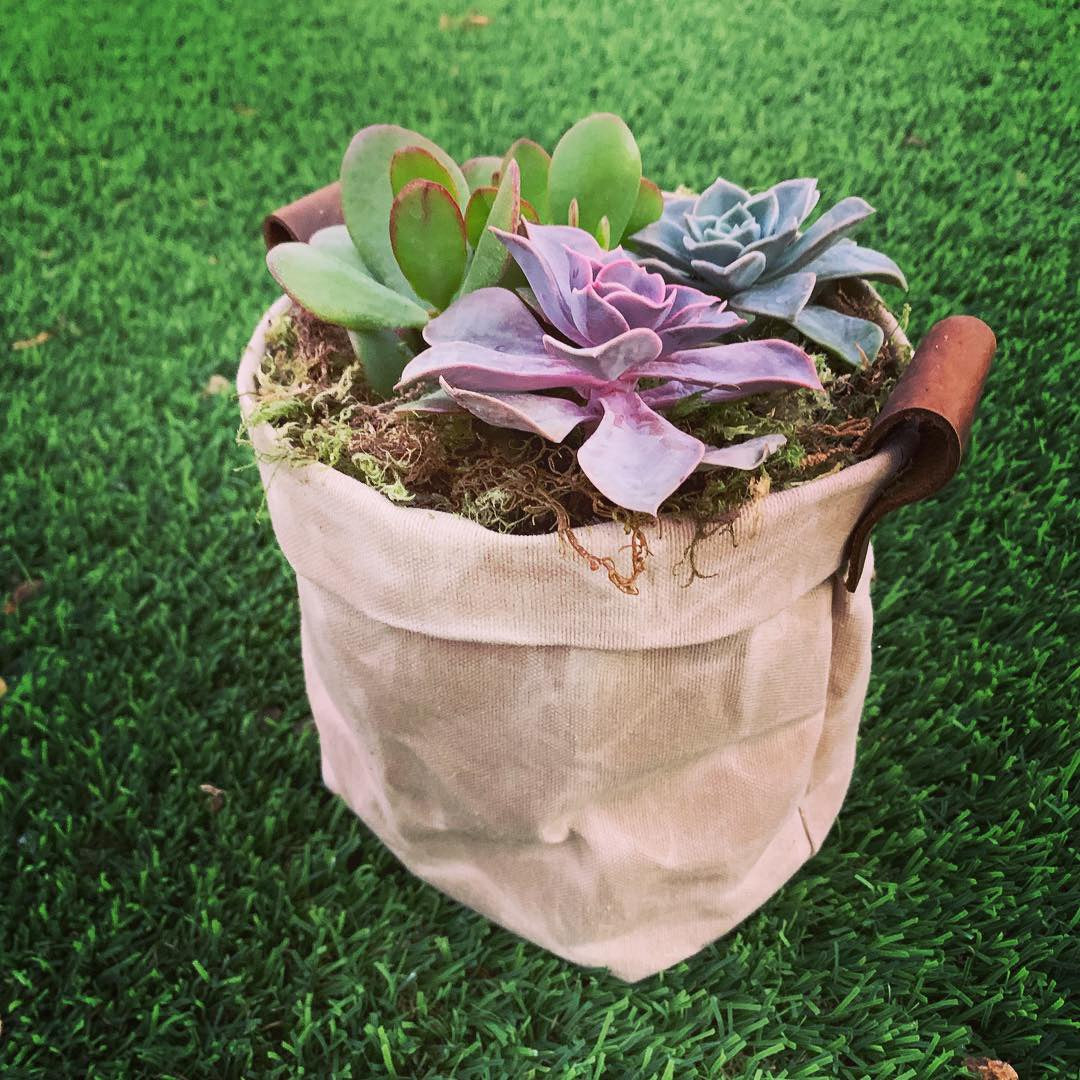 Waxed Canvas "Kiki Pot" Khaki Planter Basket
