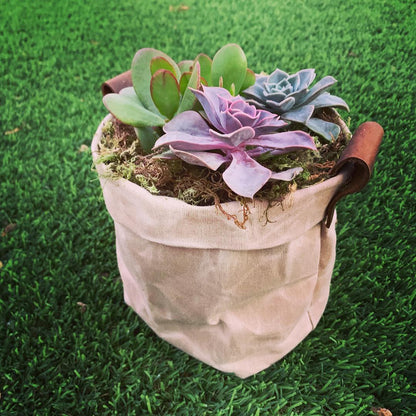 Waxed Canvas "Kiki Pot" Khaki Planter Basket