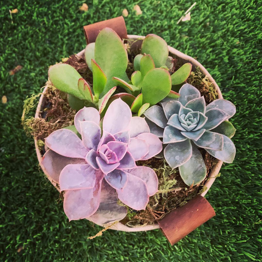 Waxed Canvas "Kiki Pot" Khaki Planter Basket