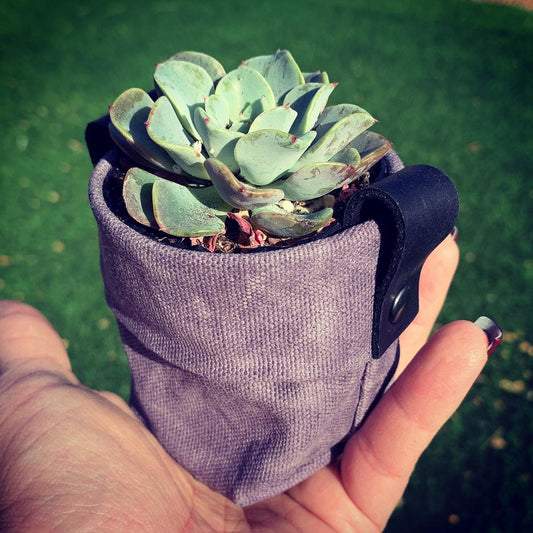Waxed Canvas Mini "Kiki Pot" Violet Planter
