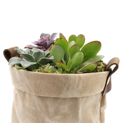 Waxed Canvas "Kiki Pot" Khaki Planter Basket