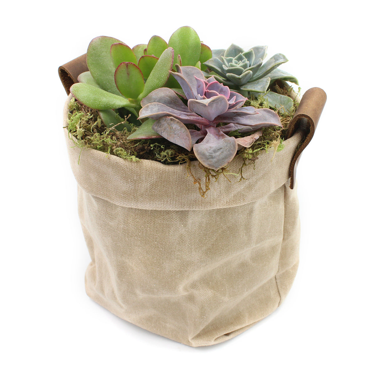 Waxed Canvas "Kiki Pot" Khaki Planter Basket
