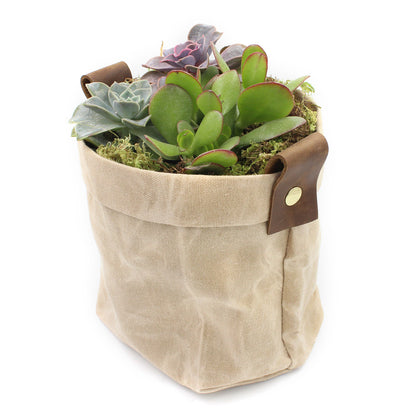 Waxed Canvas "Kiki Pot" Khaki Planter Basket